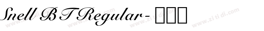 Snell BT Regular字体转换